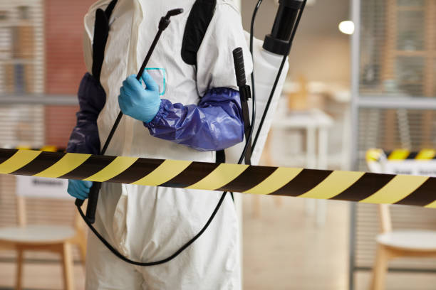 Professional Sewage Cleanup technician working in Williamsburg, KY